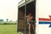 Contests &raquo; Mid 1980s Field Day